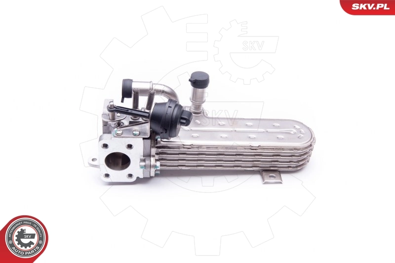 Cooler, exhaust gas recirculation
